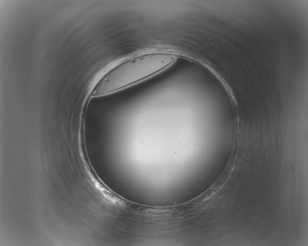 X0000078000861200610271011