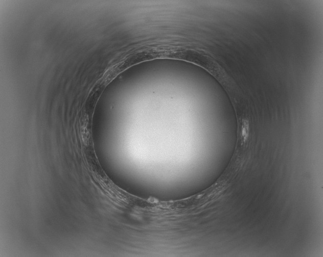 X0000078000867200610271010
