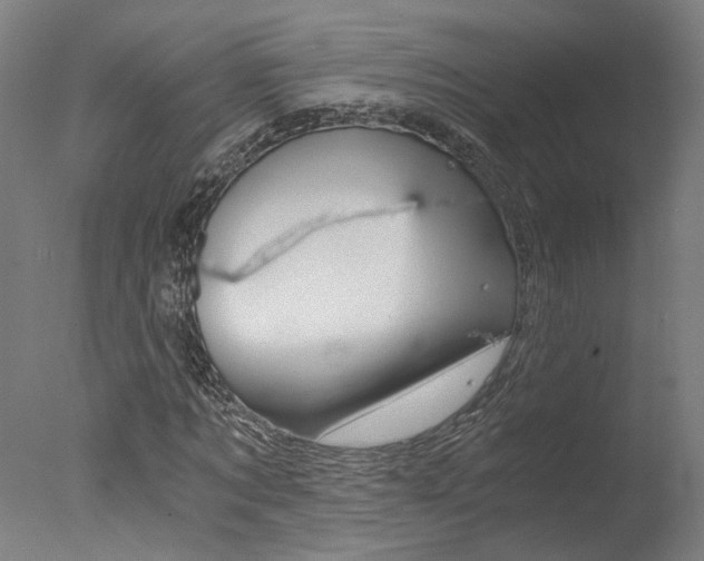 X0000078000869200610271010