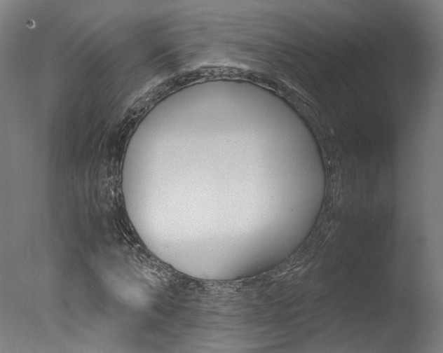X0000078000870200610271010