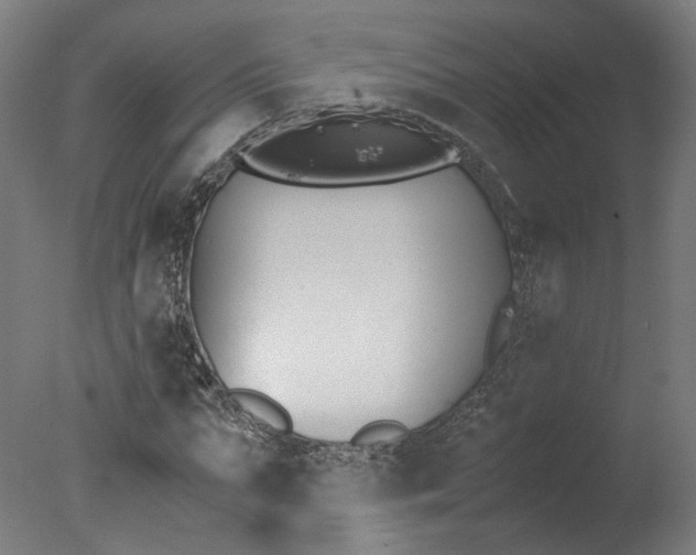 X0000078000871200610271010