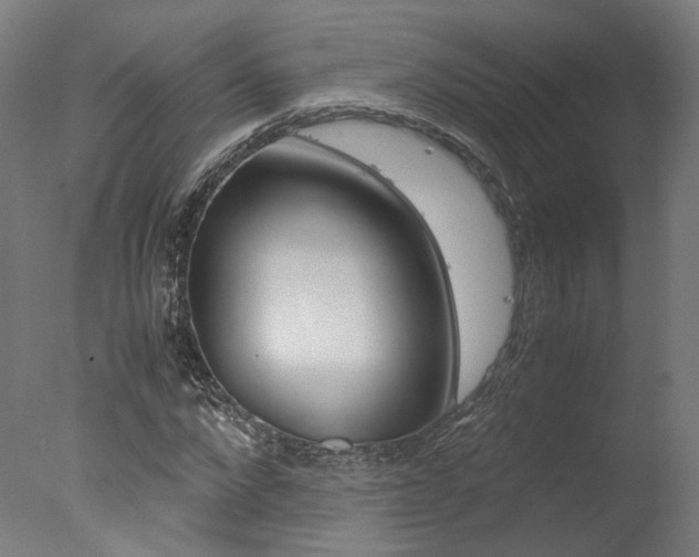 X0000078000872200610271010