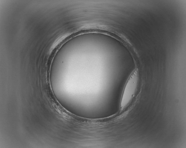 X0000078000877200610271010
