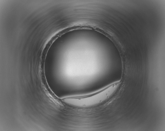 X0000078000880200610271010