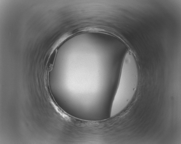 X0000078000909200610271009