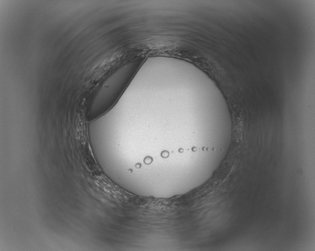 X0000078000917200610271008