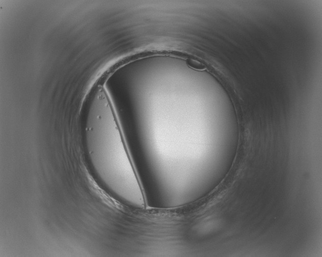 X0000078000934200610271009