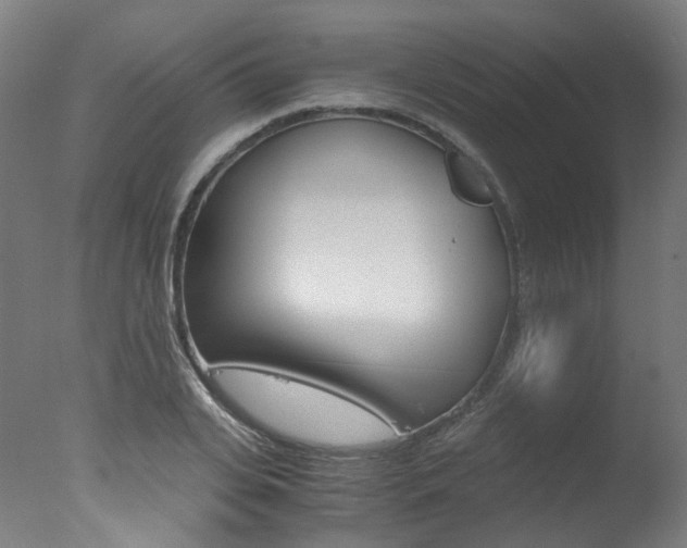 X0000078000935200610271009