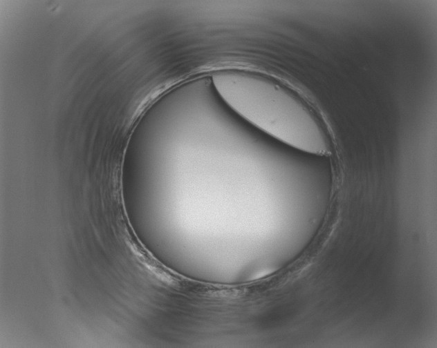 X0000078000937200610271009