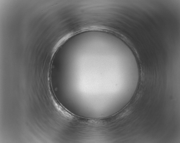 X0000078000954200610271009