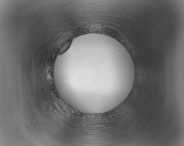 X0000078000962200610271008