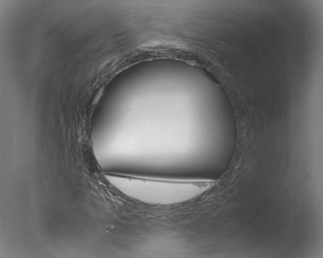 X0000078000965200610271008