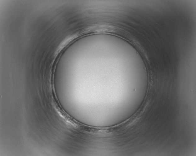 X0000078000986200610271008