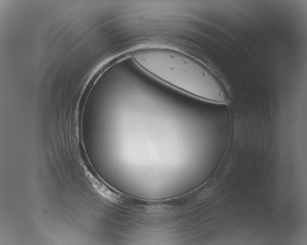 X0000078000988200610271008