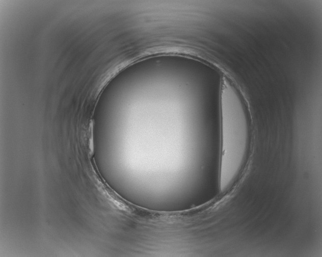 X0000078000993200610271008