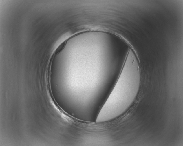 X0000078001007200610271008