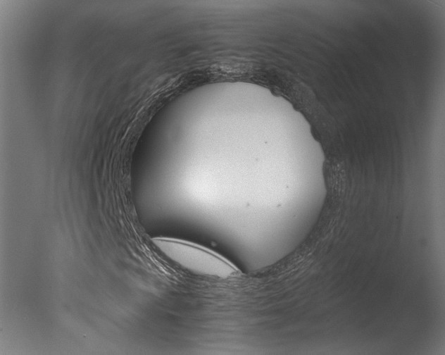 X0000078001009200610271007