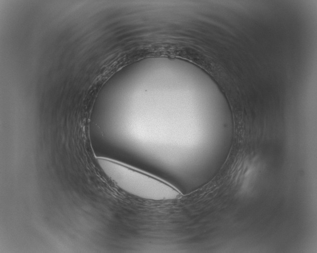 X0000078001013200610271007
