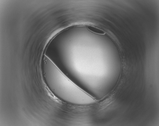 X0000078001044200610271007