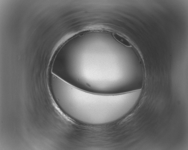 X0000078001045200610271007