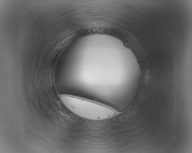 X0000078001060200610271007