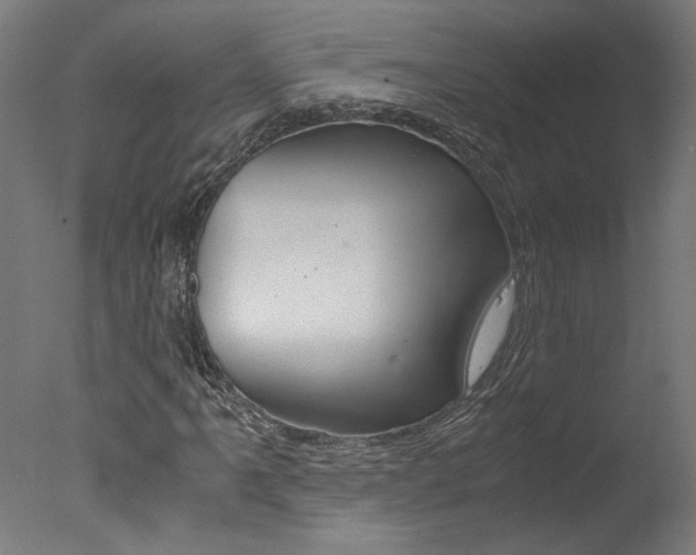 X0000078001061200610271007