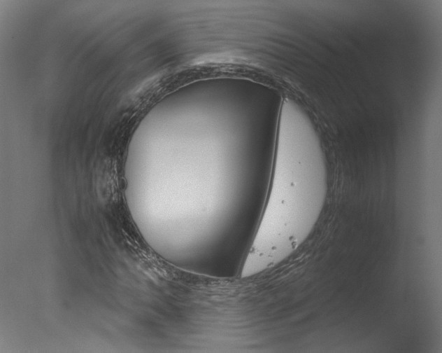X0000078001062200610271007