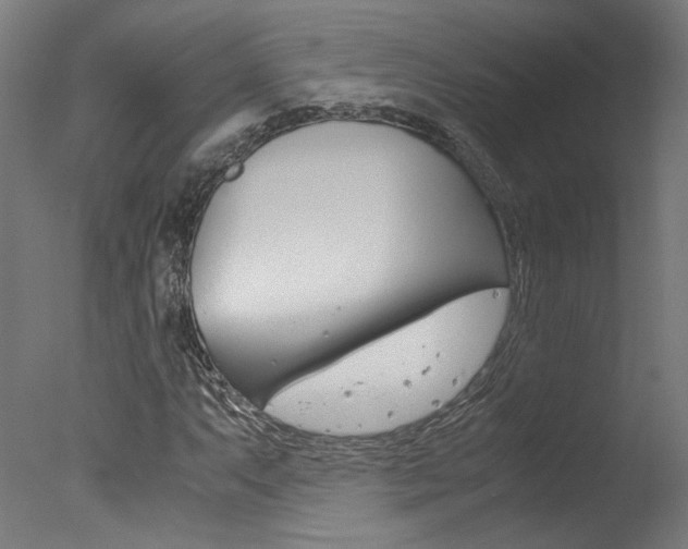 X0000078001063200610271007