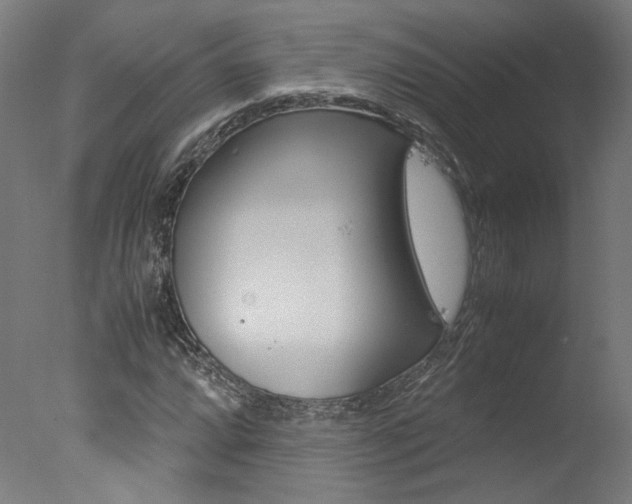 X0000078001064200610271007