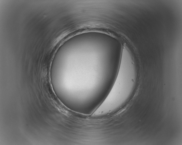 X0000078001065200610271007