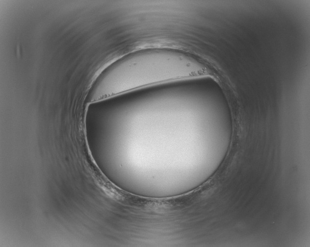 X0000078001073200610271006