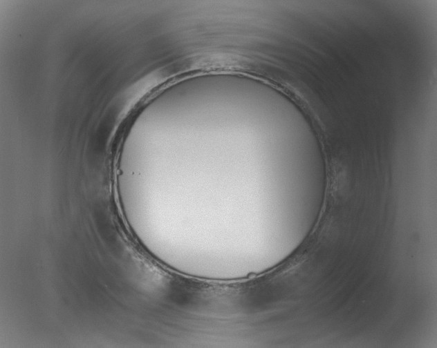 X0000078001075200610271006