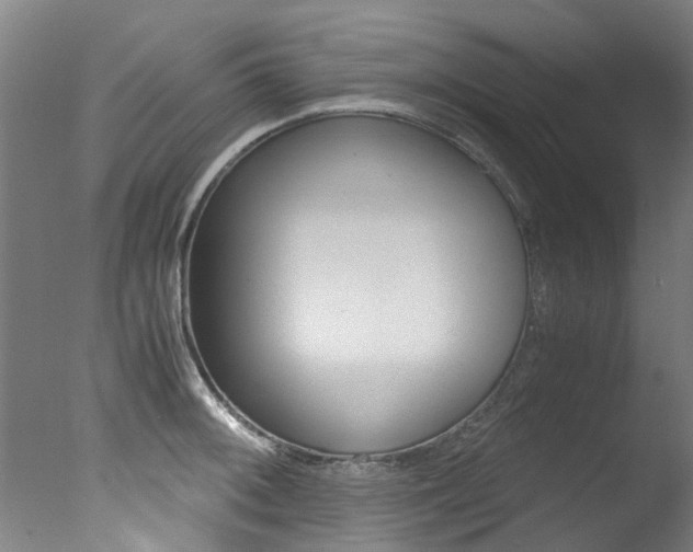X0000078001092200610271006