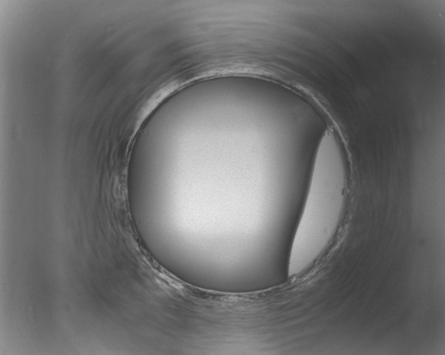 X0000078001097200610271006