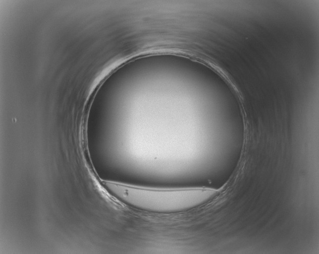 X0000078001101200610271006