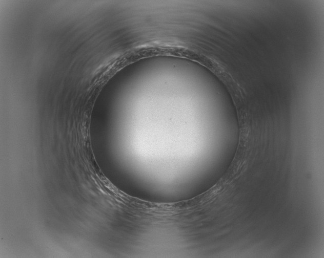 X0000078001110200610271005