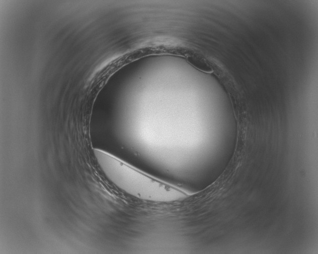X0000078001112200610271005
