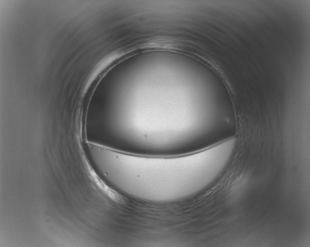 X0000078001131200610271006