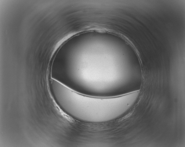 X0000078001149200610271006