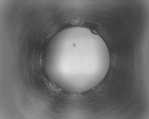 X0000078001154200610271005