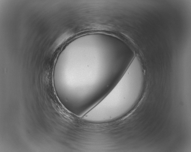 X0000078001163200610271005