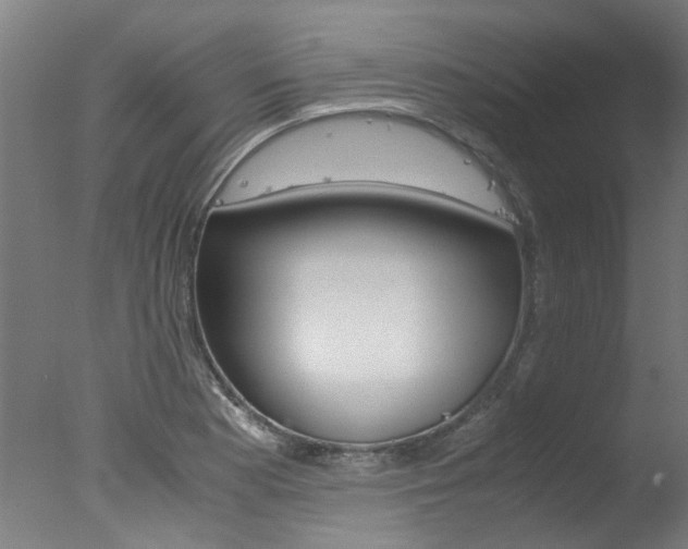 X0000078001177200610271005