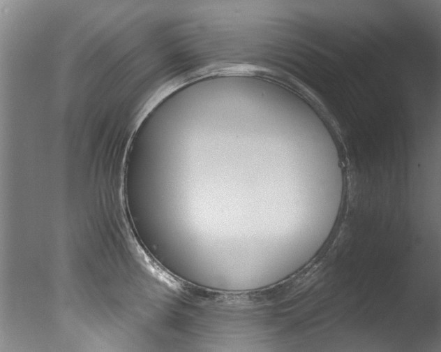 X0000078001194200610271004