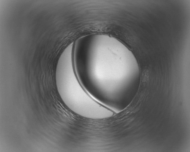 X0000078001202200610271004