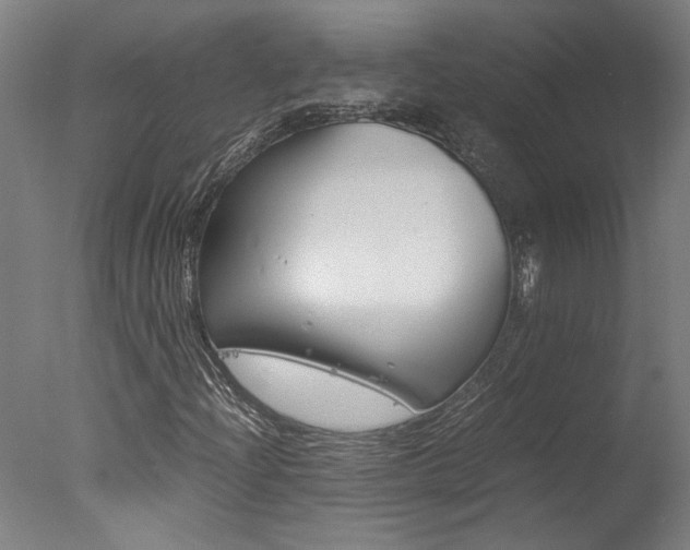 X0000078001204200610271004