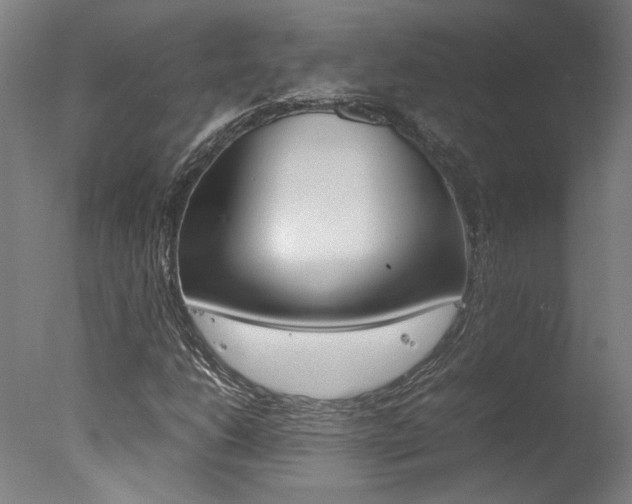 X0000078001206200610271004