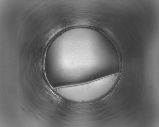 X0000078001212200610271004