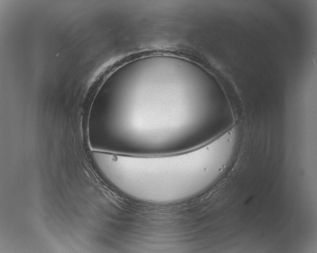 X0000078001214200610271004