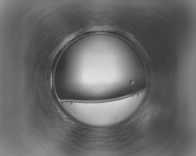X0000078001221200610271004