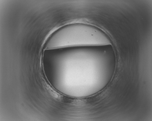 X0000078001224200610271004